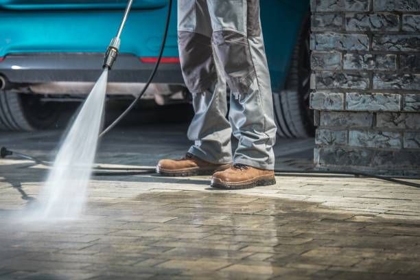 Best Winterizing Services  in Orange Blossom, CA