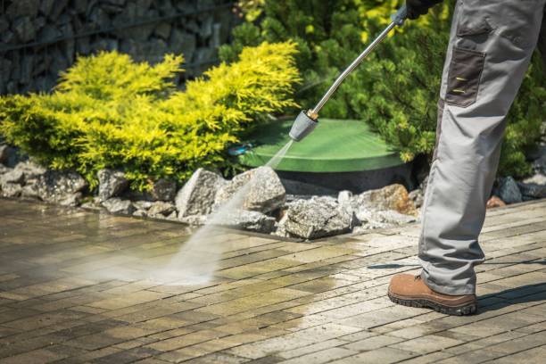 Best Boat and Dock Cleaning  in Orange Blossom, CA