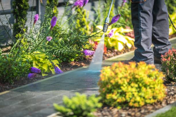 Reliable Orange Blossom, CA  Pressure Washing Services Solutions